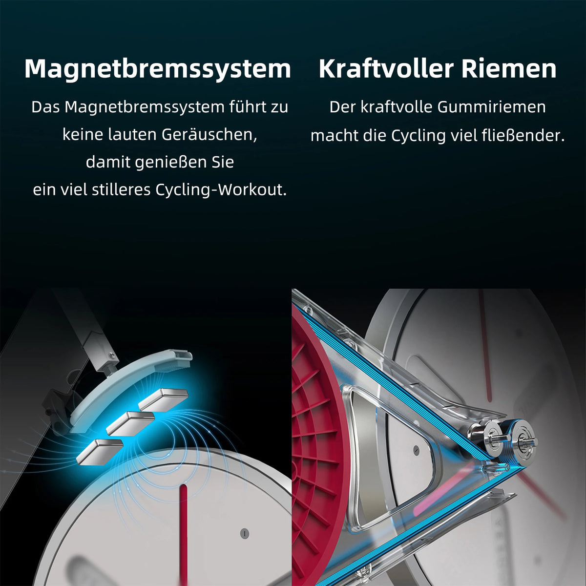 JASPORT S3 Ergometer Heimtrainer – App, Zwift & Kinomap, leise, bis 120 kg | Thryvo Fitness